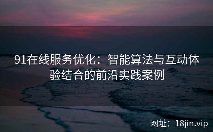91在线服务优化：智能算法与互动体验结合的前沿实践案例